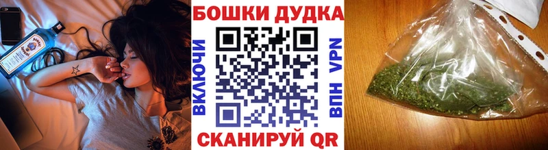 закладки  Сураж  Бошки марихуана VHQ 